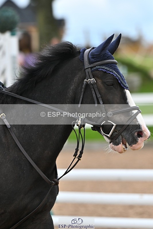 240723A-161008-00103 - 50cm and 60cm