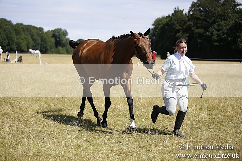 _C7A9790 - BVRC Sow 2018 Ring 2