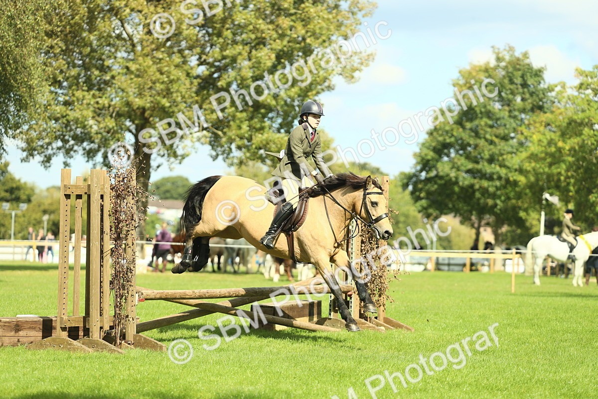 SBM_42850 - S30 - M&M Working hunter Pony