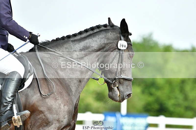 230708A-093109-02132 - Prelim 13