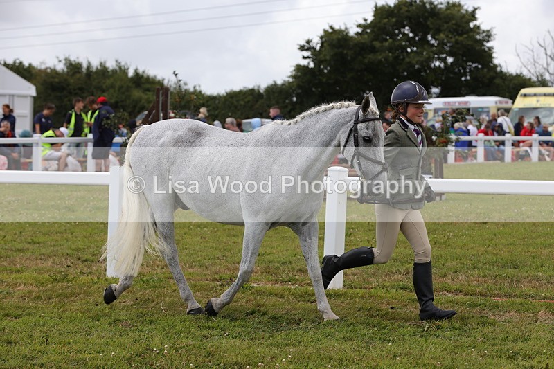 1X9A4950 - Class 35: Veteran In Hand