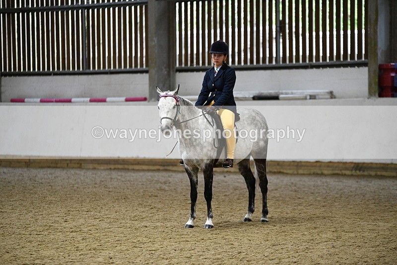 WJ5_8065 - Class 13 Ridden Part Breed