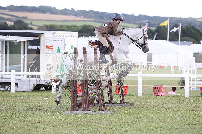 JPP_3648 - Class 24: Open Working Hunter