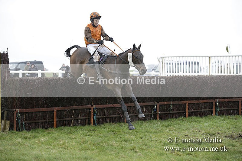 PtP 150320 0338 - New Forest Point-to-Point Larkhill 15/03/20