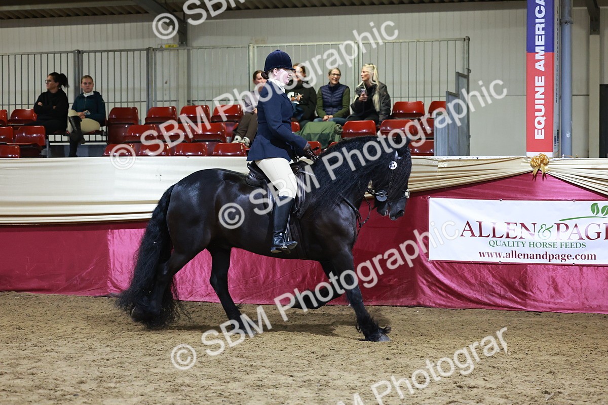 SBM_21358 - Class T - Working Veteran Champs