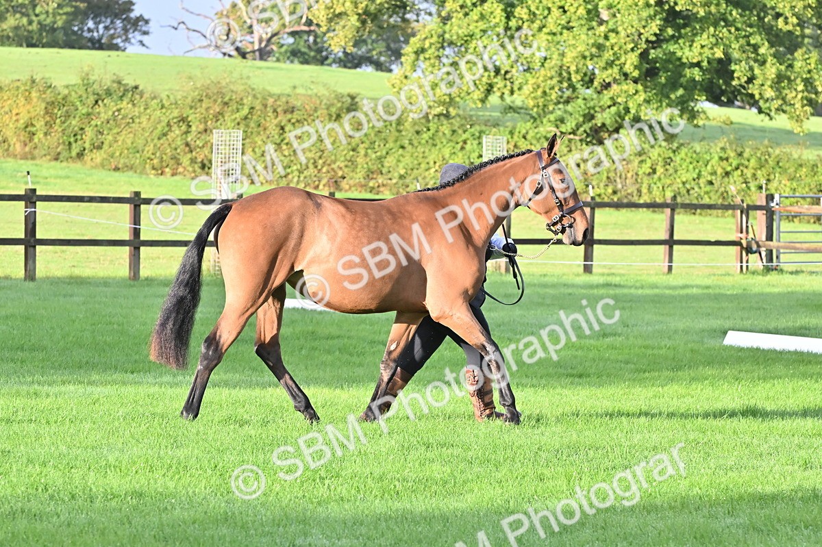 SBM_32594 - S15 - Top Turnout In Hand