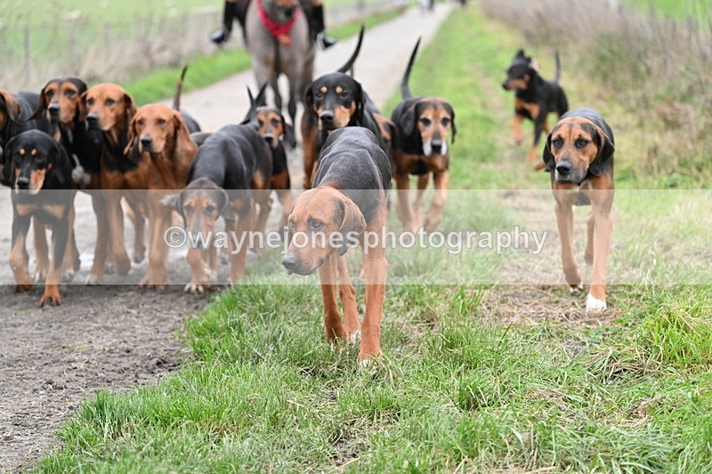 WJ7_1242 - Walk Home