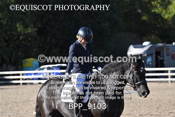 BPP_9103 - LONG ARENA