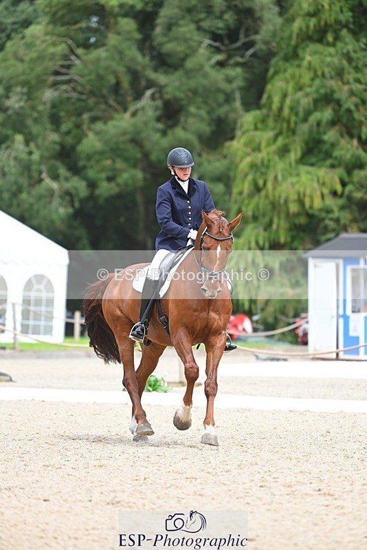 230813-140036-07658 - Cls 13 Medium Bronze 13.15 to End