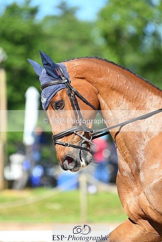 230526-091721-05422 - 453-BILLY_WONDER-Pippa_Funnell-DR