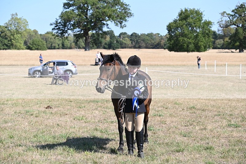 WJ6_7665 - Class 34 Judges Choice