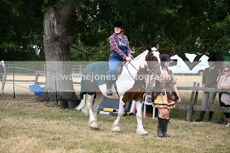 WJ6_4648 - Class 11 Fancy Dress