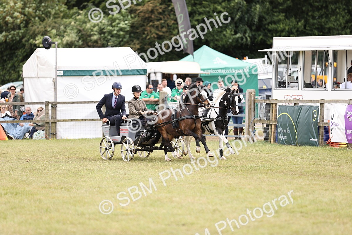 SBM_16009 - Class 91 - Scurry  exceeding 122cms