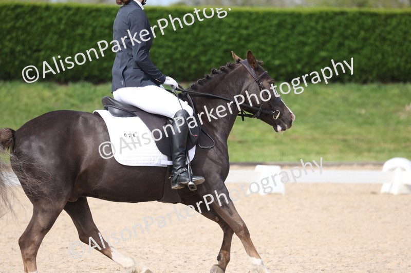 20260404-0452 - Class 3 - Prelim 1