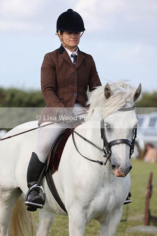 JPP_2982 - Class 20: Working Hunter 70cm