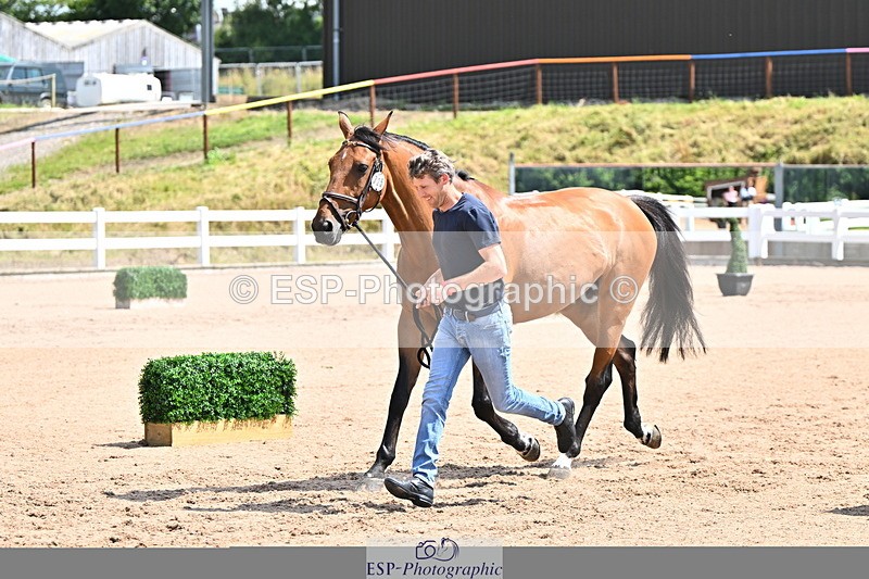 240718A-105242-01042 - Trot Up 11am to 12pm