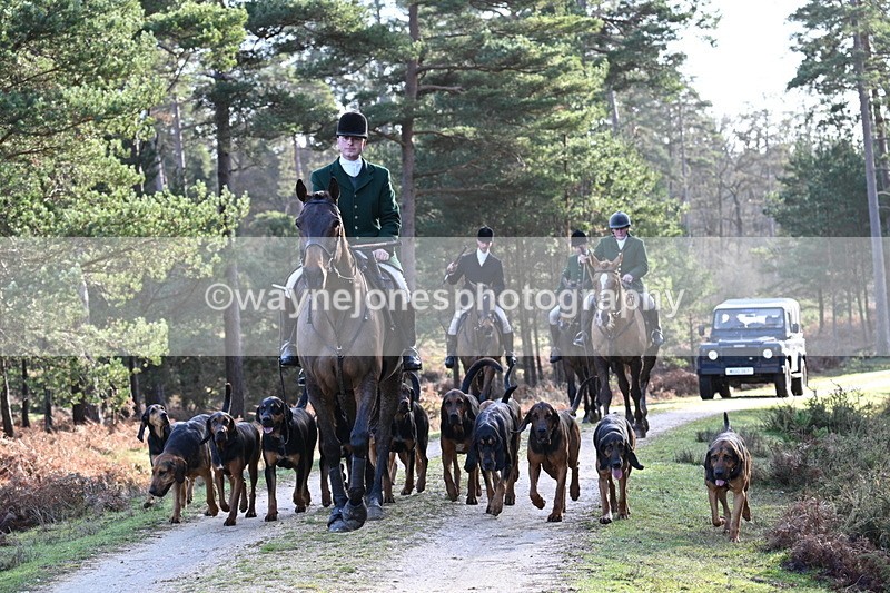 WJ7_7697 - Line 3 (no line 4 or 5)