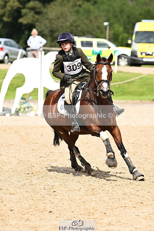 240824X-124620-25616 - 70cm Jump Off