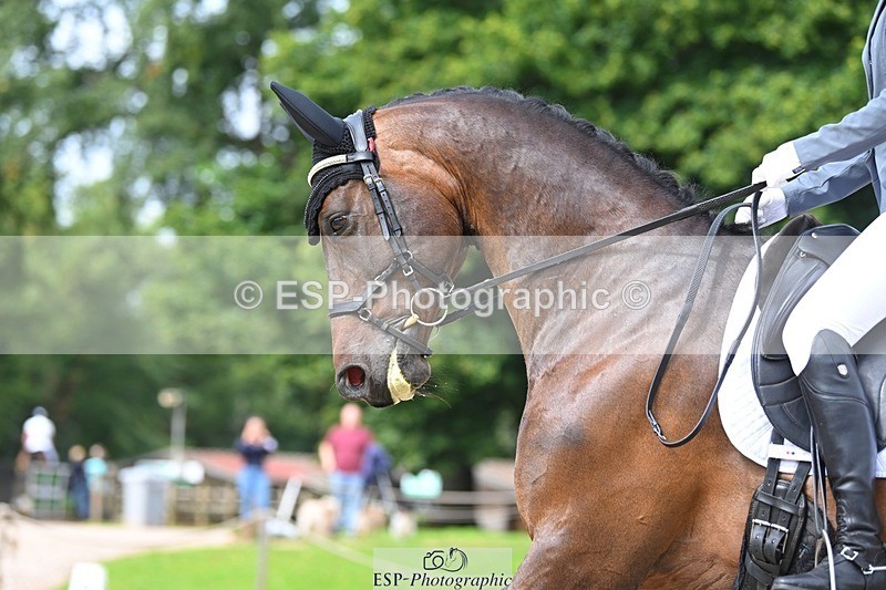 230813-111713-06555 - Cls 12 Elem Silver 10.35 to End