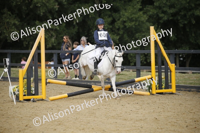 20250622-3606 - 50cm