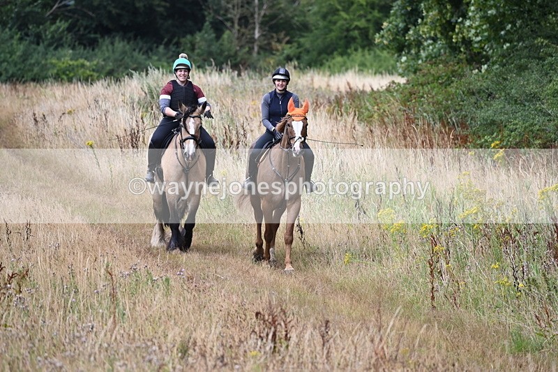 WJ6_2424 - Group 7