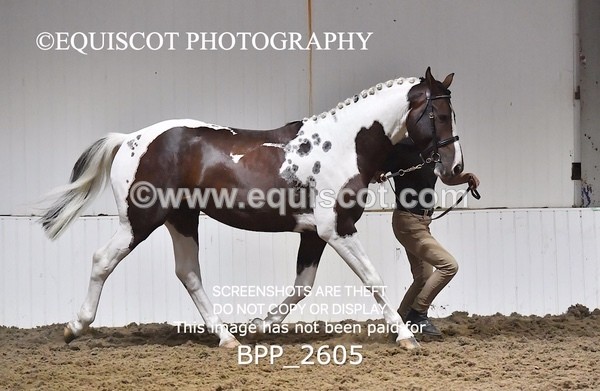 BPP_2605 - LOOSE JUMPING / SPSS