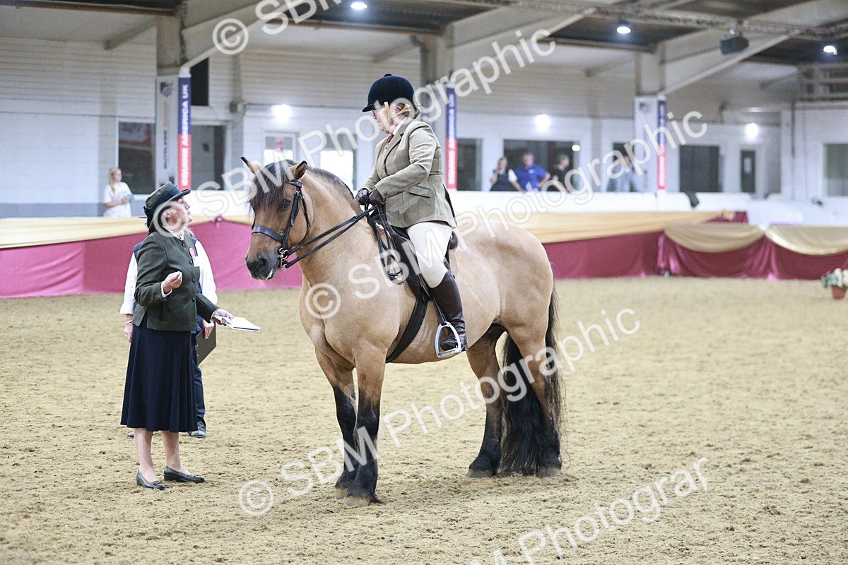 SBM_08102 - Class 11R - Regional Ridden Veteran