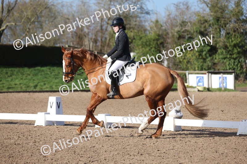 20260128-0323 - Class 3 - Novice 4