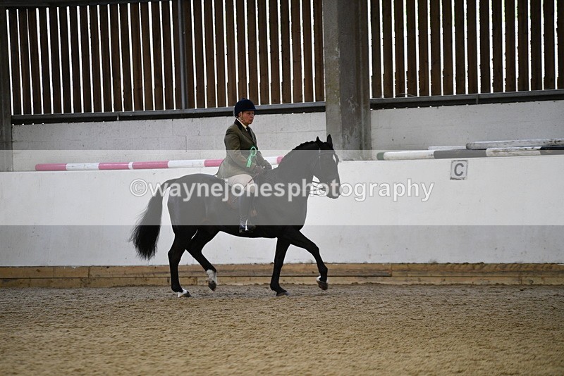 WJ5_6477 - Class 9 Ridden Veteran