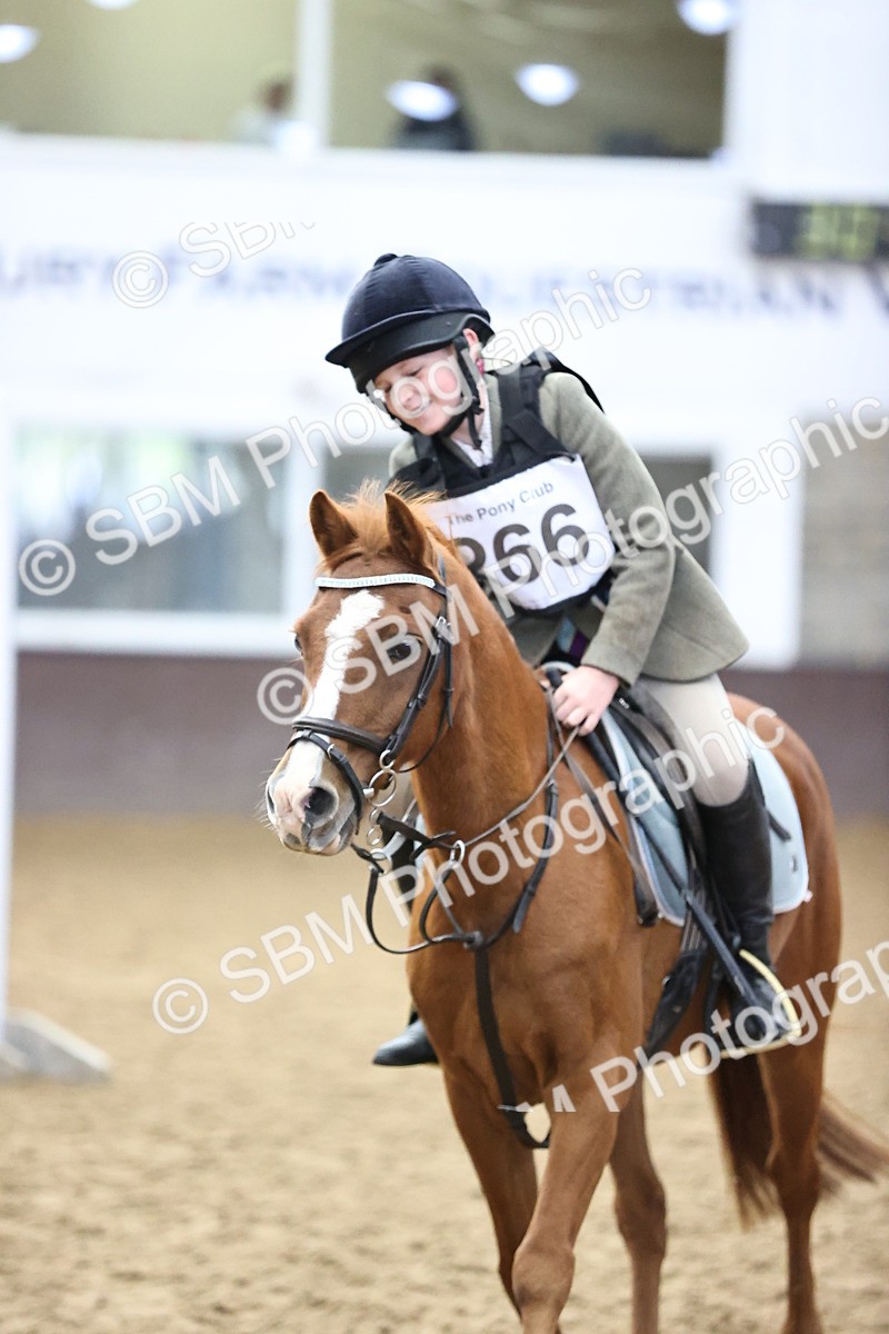 SBM_001273 - Class 4 -  Prestige Design & Workwear  60cm Area 12 Championship Qualifier