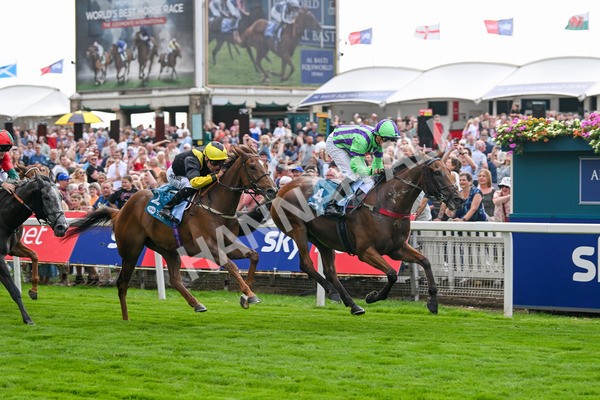 260725-Race 6-Billyb-7904 - Race 6 4.25pm Sky Bet Go-Racing-In-Yorkshire Summer Festival Handicap