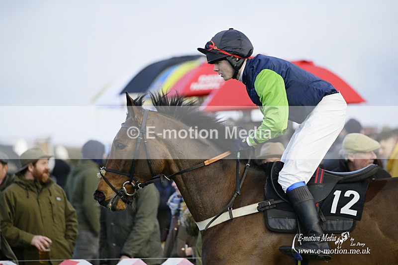 PtP 300122 613 - South Dorset Hunt - Point-to-Point Races 30/01/2022