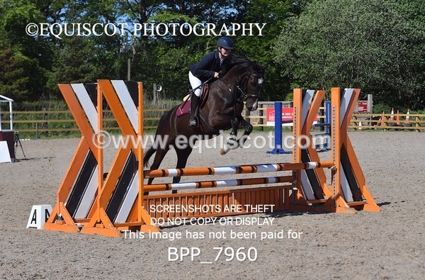 BPP_7960 - CLASS 2 Club/ Unaffiliated 80cms Open