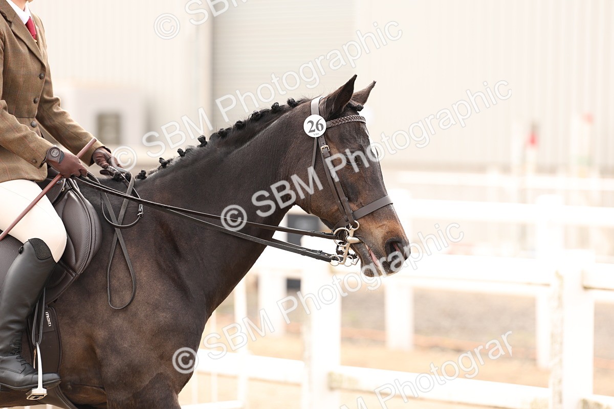 SBM_01622 - Class 52 - Ridden Veteran