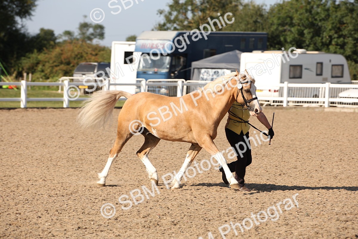 SBM_01493 - Class 15 IH Coloured