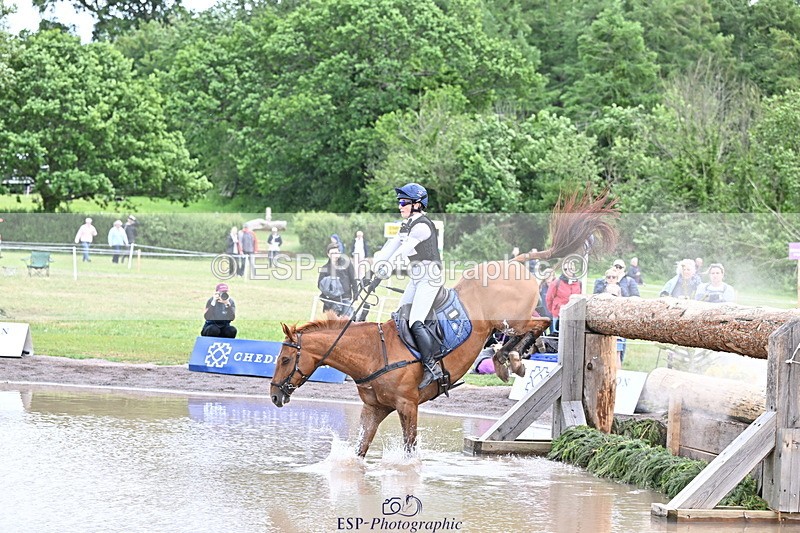 250525A-125251-16115 - D-453-Daisy.Berkeley-DIESE.DU.FIGUIER