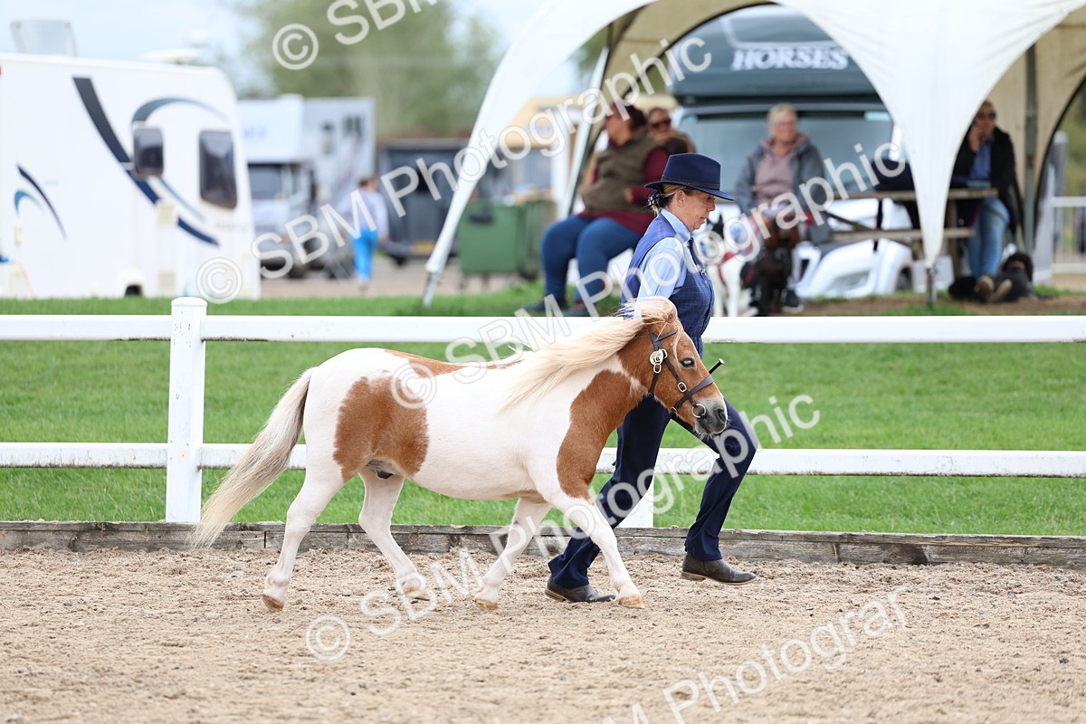 SBM_05872 - Class 29 - IH Veteran Pony