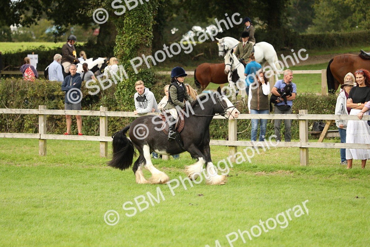 SBM_71696 - S41 - Ridden Equitation (Best Rider)