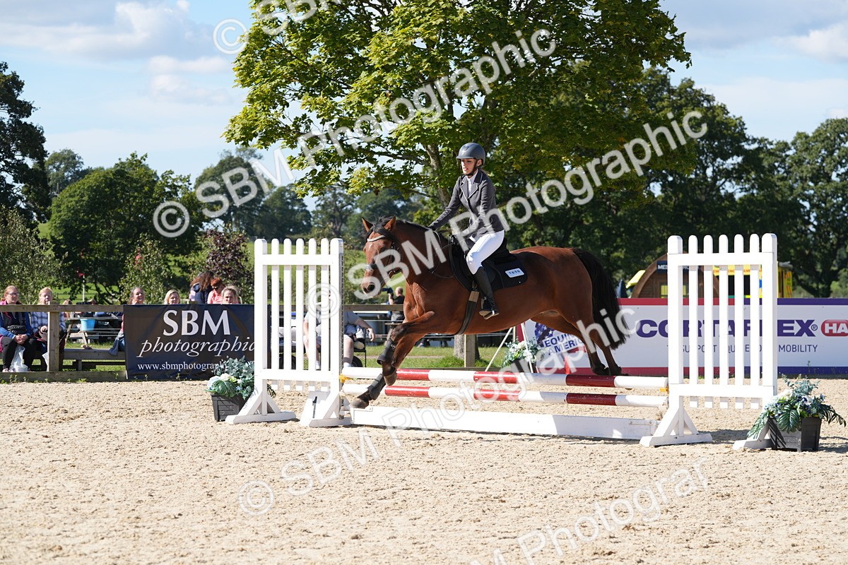 SBM_38716 - J21 - Junior Horse 60cm Championship