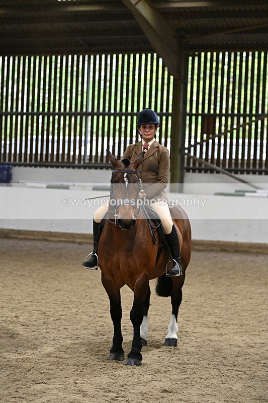 WJ7_4363 - Class 17 Ridden Cob