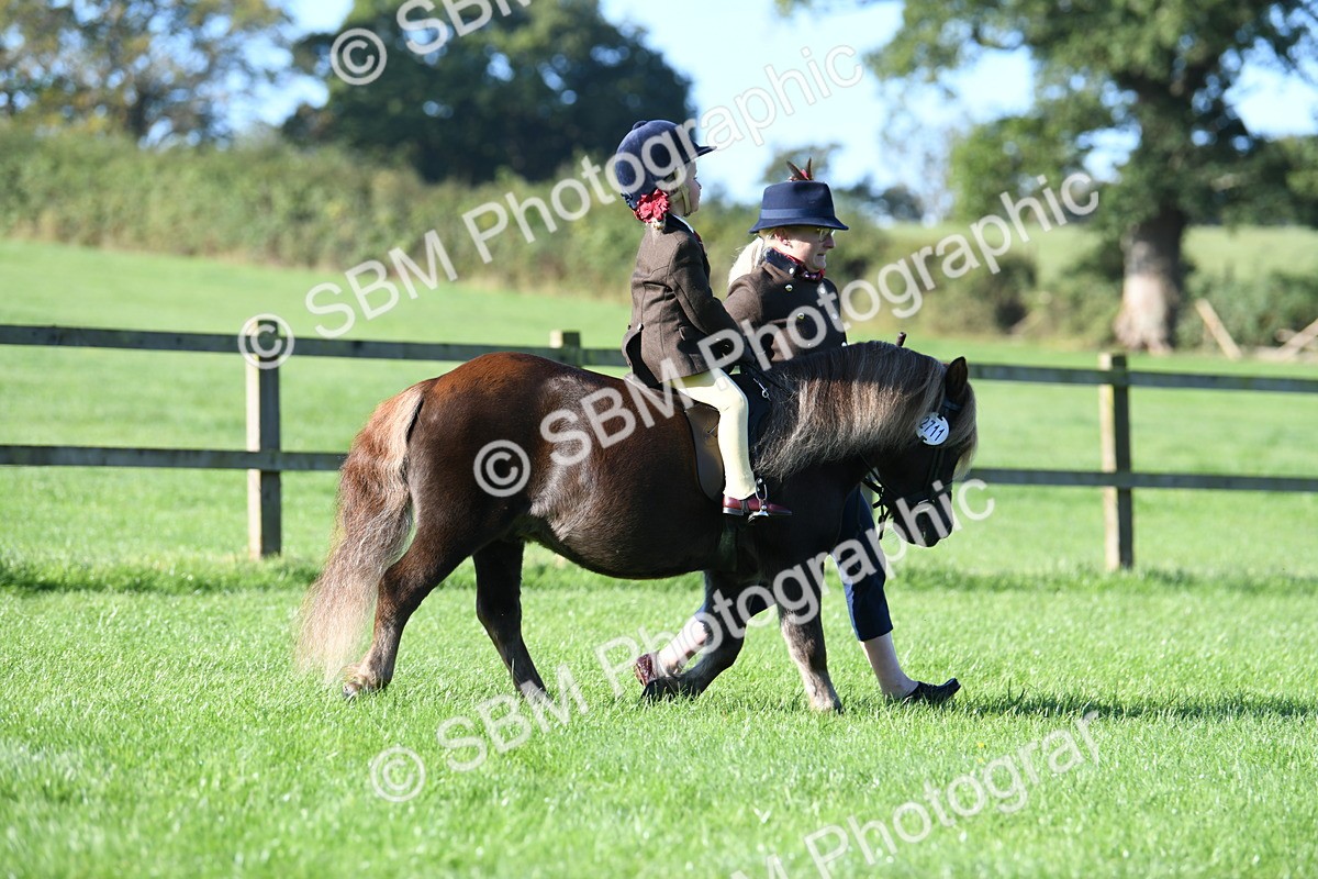 SBM_35308 - S17 - Condition & Turnout - Lead Rein
