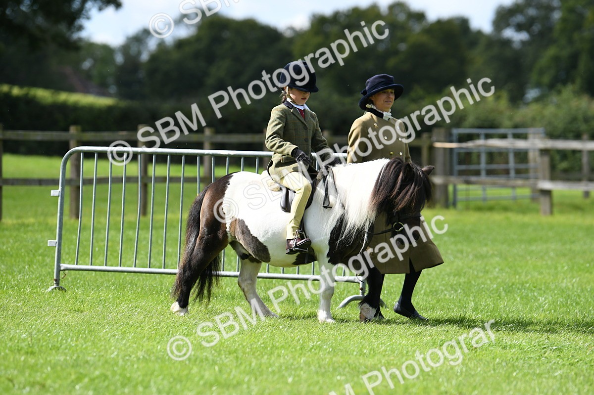SBM_42522 - S20 - Lead Rein Mountain & Moorland Pony