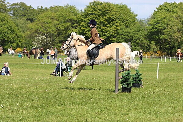 IMG_4252 - Working Hunter