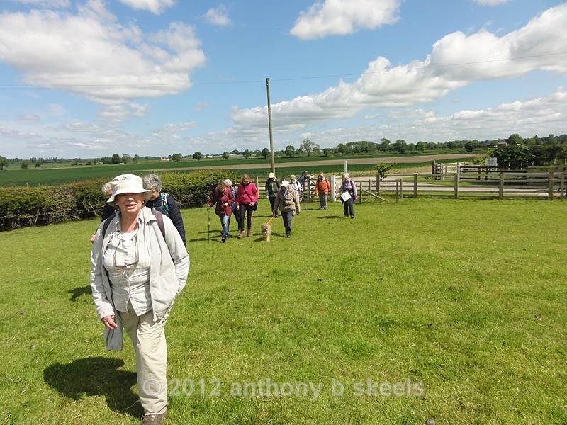 050 Through the Field Gate beyond Hollins Farm - York Minster Walkers Collection 2024