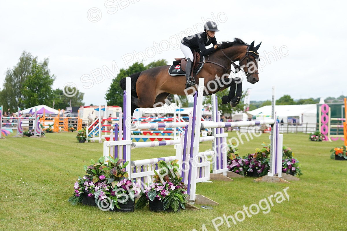 SBM_03088 - Class 201 - British Horse Feeds Speedi Beet Horse of the Year Show Grade  C