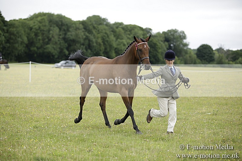 BVR160717-856 - Ring 2 BVRC Show 16/07/17