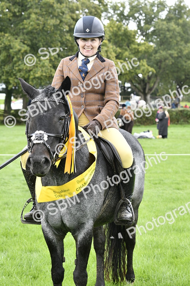 SBM_38273 - S31 - Novice & Newcomer Working Hunter Pony