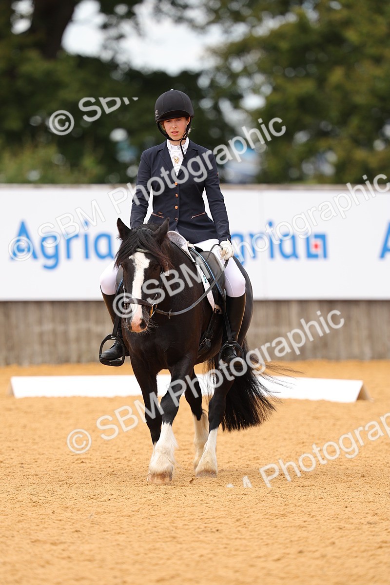 SBM_44008 - D22 - Junior Championship - Intro B