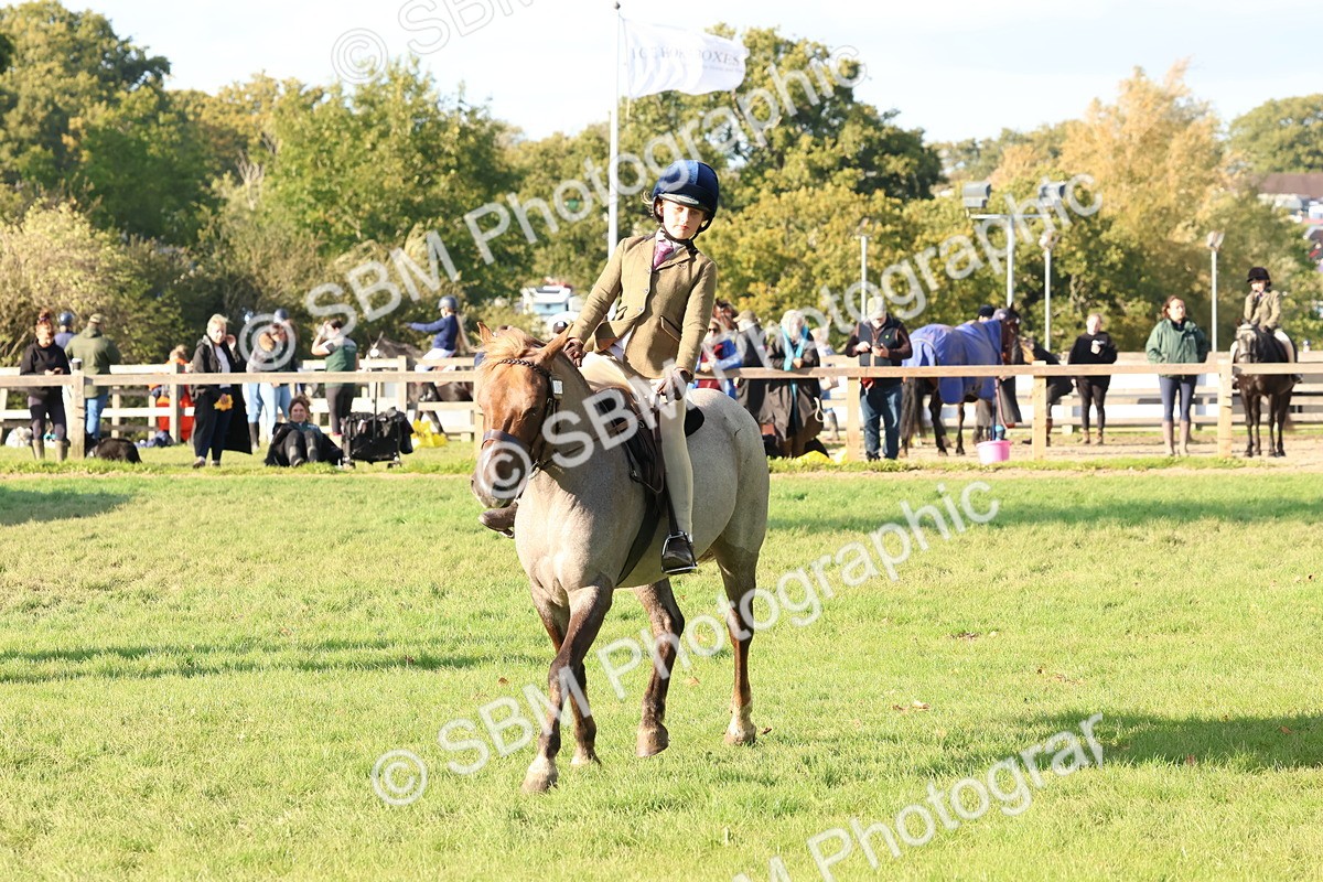 SBM_52640 - S13 - Pony Club Pony