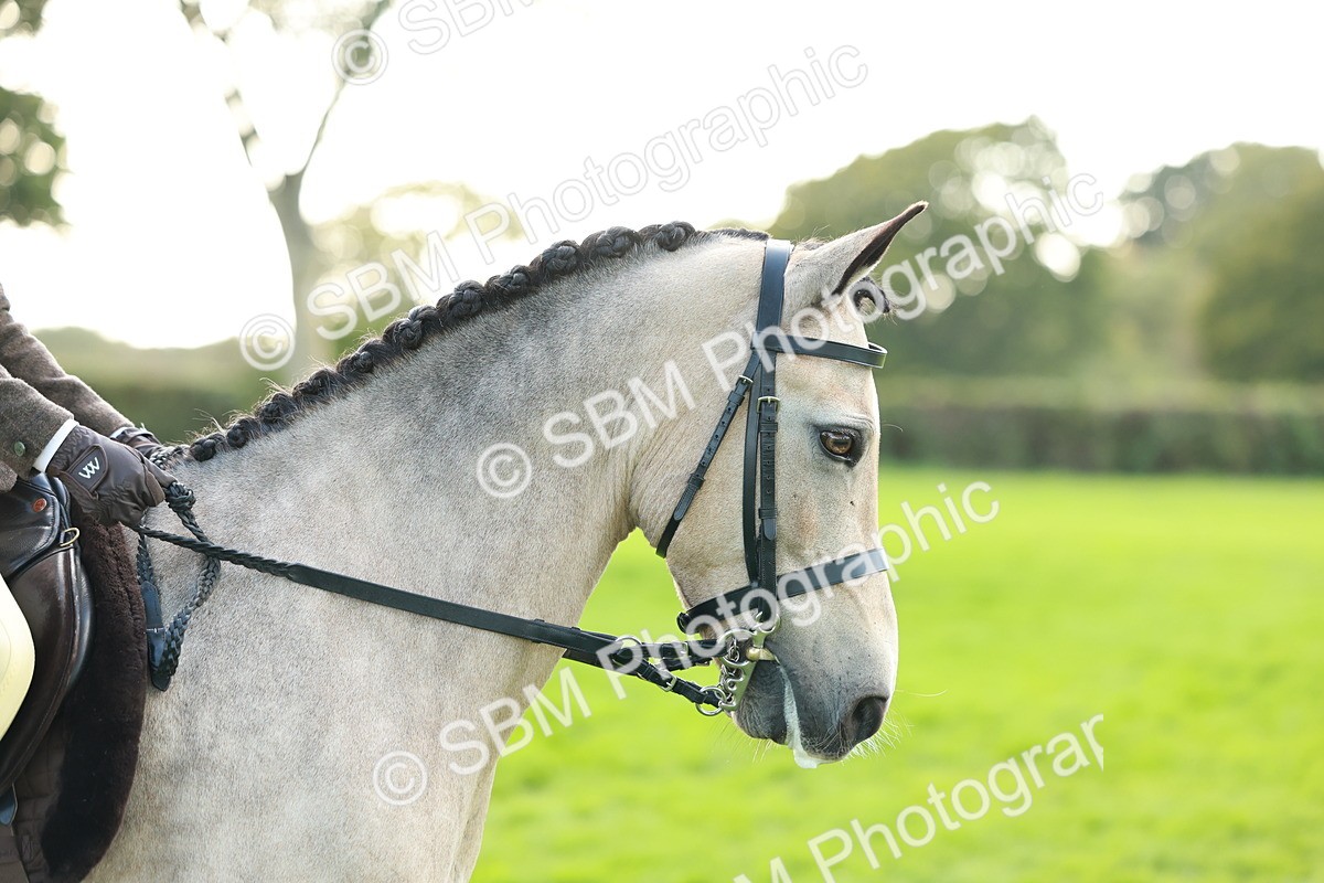 SBM_28834 - S7 - Novice & Newcomer Ridden Pony